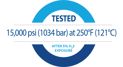 Badge-test-163 nbr h2s BOP 05.05.2020
